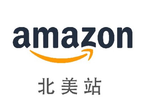 亚马逊店铺运营能力，熟悉亚马逊的本质规则，当前给我创造利益最多的一个能力。